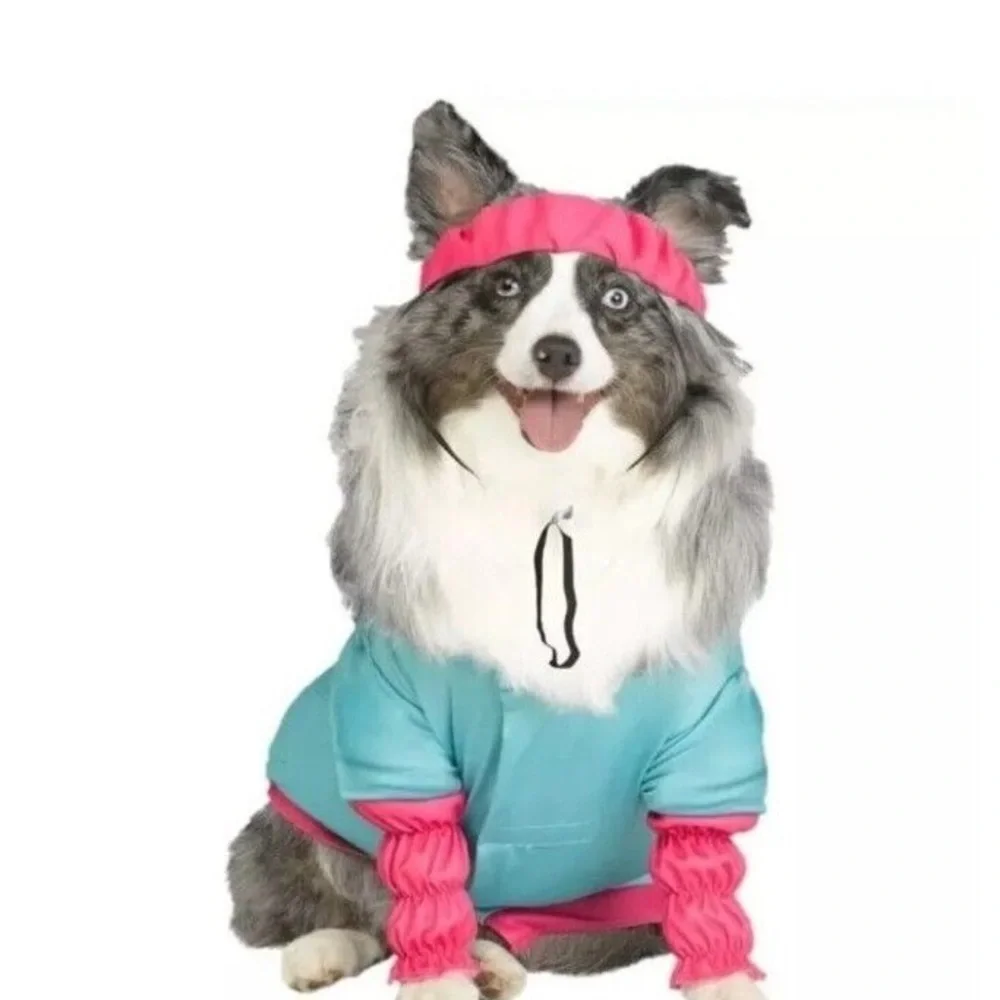 Barbie dog costume medium